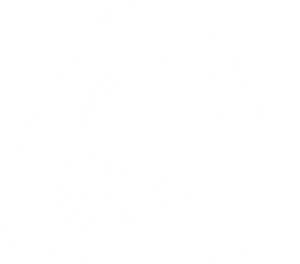 NZ MADE